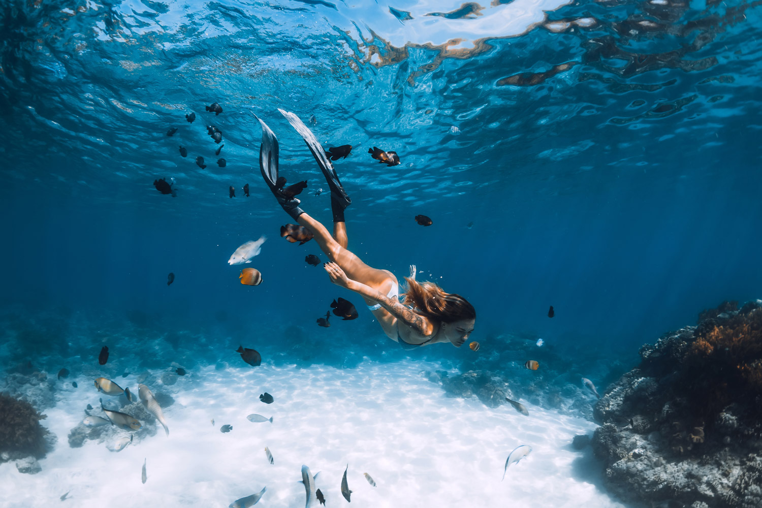 Snorkeling and diving trips in Hurghada